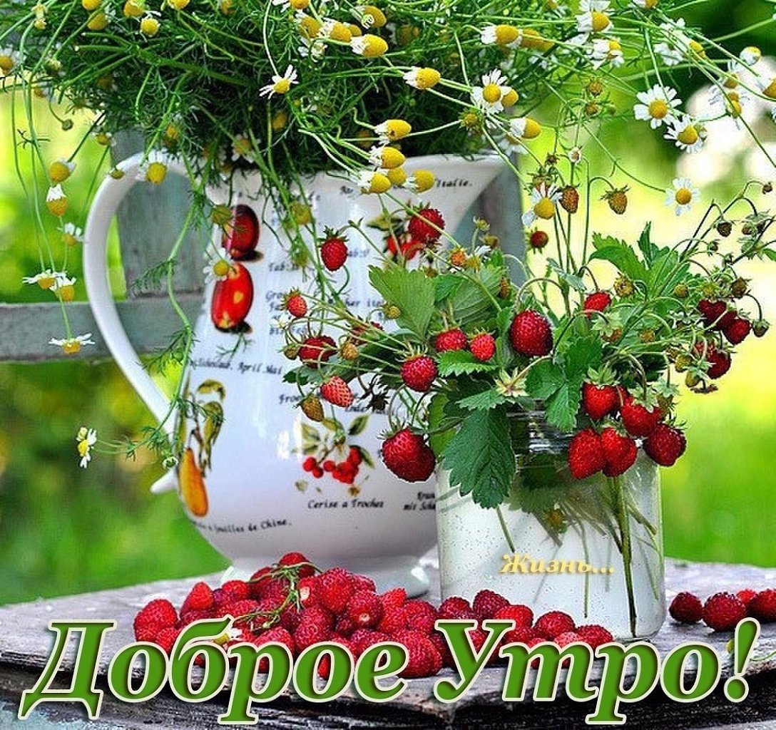 Открытка с добрым летним утром,доброго летнего утра,летнее утро,земляника Открытки картинки с добрым утром лета,доброе летнее утро,открытки открытка с пожеланиями доброго летнего утра,летнее доброе утро,доброе утро лета скачать бесплатно
