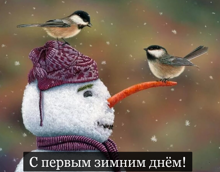 Открытки с поздравлениями первый день зимы,начало зимы,1 декабря Открытки открытка поздравления с наступлением зимы,первый день зимы,первое декабря,картинки картинка первый день  зимы,красивая зимняя открытка начало зимы,первый день зимы