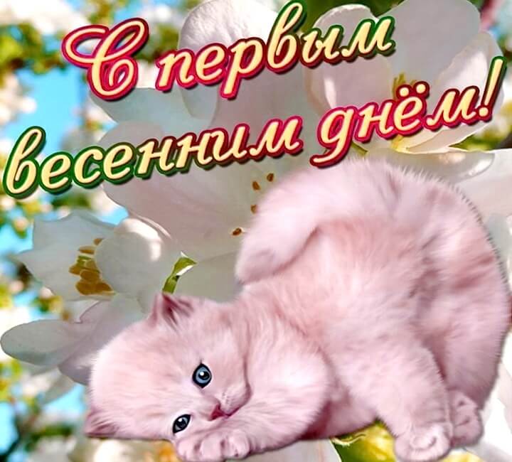 Открытки первый день весны ,с первым весенним днём ,1 марта,котёнок Открытки открытка с первым весенним днём ,первый день весны,первое марта,картинки картинка с началом весны,с весной,открытка картинка первый день весны 1 марта скачать