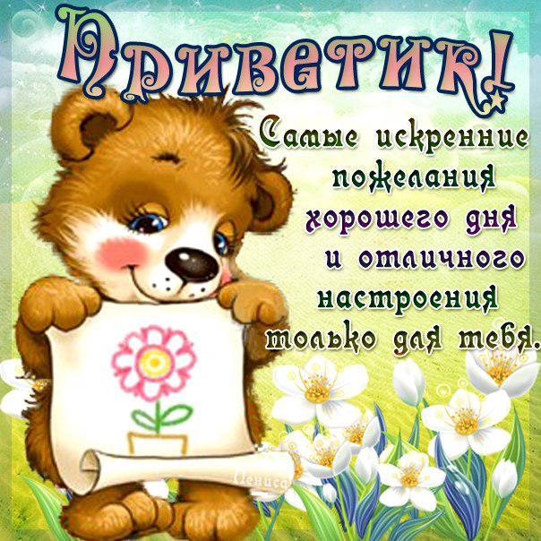 Открытка картинка привет,приветствие,передать привет,приветик Открытки картинки с приветствием,передать привет ,приветик,привет,открытка яркая привет,картинка красивая привет,приветик,передаю привет открытки скачать бесплатно