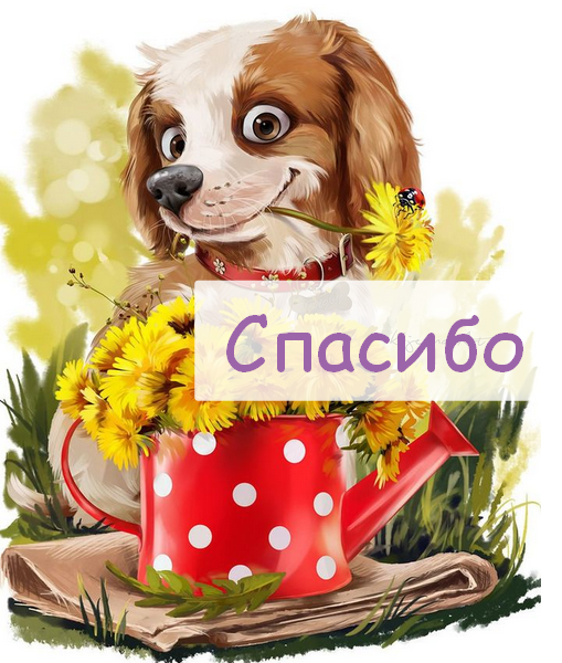Открытки спасибо,благодарю,красивая открытка с надписью спасибо,собачка Открытка,открытки с надписью спасибо,большое тебе спасибо картинки открытки,яркие открытки спасибо,слова благодарности,открытки картинки спасибо,спасибки скачать