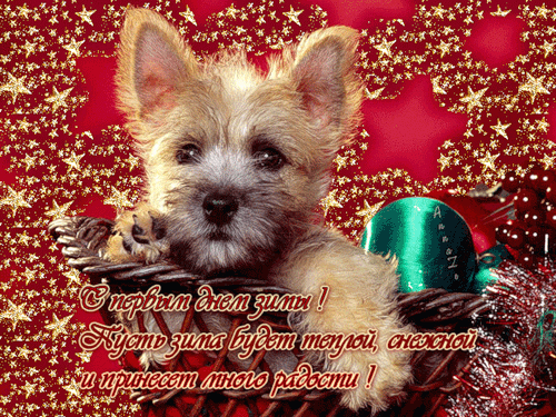 Открытка гиф,мерцающая первый день зимы,1 декабря,с началом зимы Открытка открытки гиф,анимационные с первым днём зимы,первое декабря ,начало зимы,мерцающие картинки с первым днём зимы,открытка гиф первый день зимы скачать . 