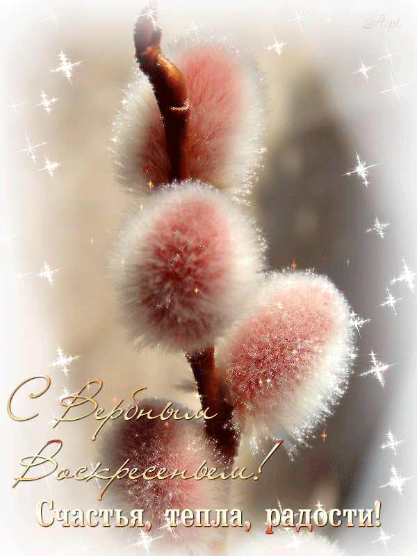 Открытки гиф, мерцающие с  вербным , на вербное воскресенье  Открытка картинка гиф открытки картинки гиф, мерцающие на вербное ,с вербным воскресеньем ,открытка картинка анимационная вербное воскресенье скачать бесплатно 