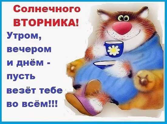Жирный кот пьет чай ,Солнечного вторника,