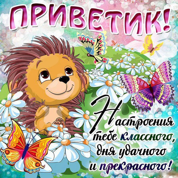 Открытка картинка привет,приветствие,передать привет,приветик Открытки картинки с приветствием,передать привет ,приветик,привет,открытка яркая привет,картинка красивая привет,приветик,передаю привет открытки скачать бесплатно