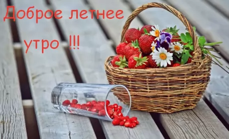 Доброе летнее утро Открытка с добрым летним утром,доброго летнего утра,летнее утро,ягода,цветы