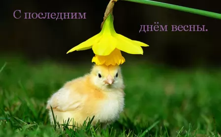 Открытки с последним днём весны Открытки с последним днём весны , с последним весенним днём.