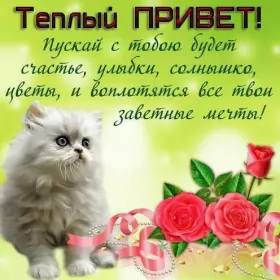 Привет,приветствие Открытка картинка привет,приветствие,передать привет,приветик
