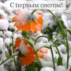 Открытки с первым снегом Открытки с первым снегом,первый снег,выпал первый снег,снежок