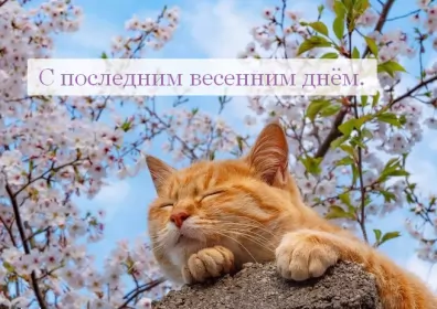 Открытки с последним днём весны Открытки с последним днём весны , с последним весенним днём.