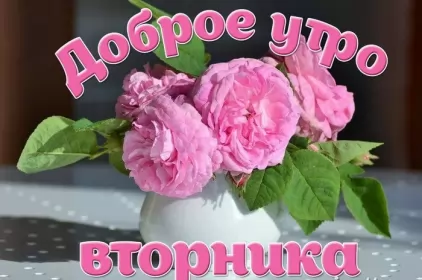 Вторник Открытка с цветами на вторник