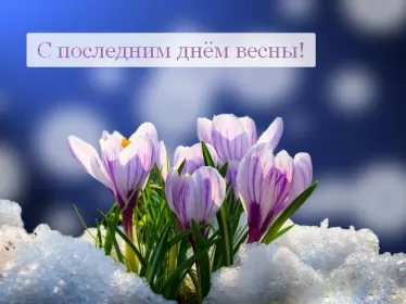 Открытки с последним днём весны Открытки с последним днём весны , с последним весенним днём.
