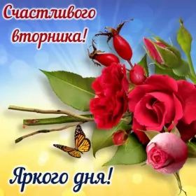 Вторник Счастливого вторника.яркого дня