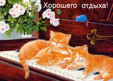 Открытки хорошего отдыха Открытка хорошего отдыха,пожелания хорошего,отличного отдыха