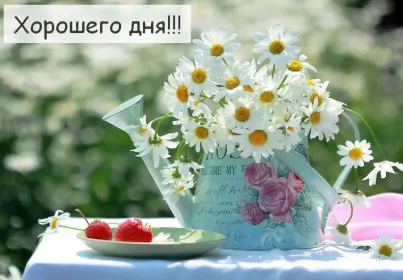 Хорошего дня Открытка картинка хорошего дня красивая открытка с пожеланиями хорошего дня
