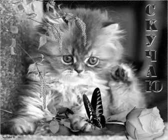 Открытки скучаю Открытки скучаю я скучаю по тебе,картинки с надписью скучаю .