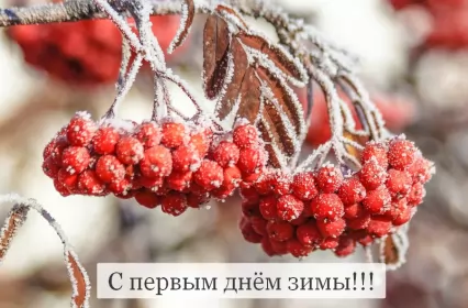 Открытки первый день зимы Открытки первый день зимы,1 декабря,начало зимы,с наступлением зимы