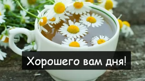 Хорошего дня Открытка картинка хорошего дня красивая открытка с пожеланиями хорошего дня