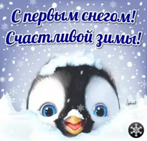 Открытки с первым снегом Открытки с первым снегом,первый снег,выпал первый снег,снежок