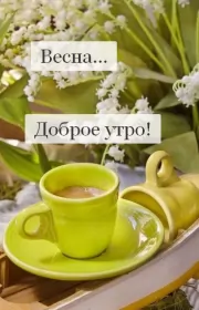 Доброе весеннее утро Открытка доброе весеннее утро,с добрым весенним утром,весеннее утро