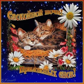 Открытки спокойной ночи Открытки спокойной ночи,спокойного сна,пожелания спокойной ночи