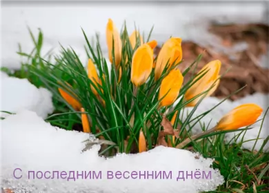 Открытки с последним днём весны Открытки с последним днём весны , с последним весенним днём.