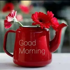 Открытки Good Morning Открытка картинка Good Morning доброе утро на английском языке