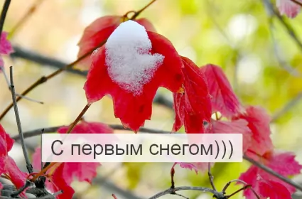 Открытки с первым снегом Открытки с первым снегом,первый снег,выпал первый снег,снежок