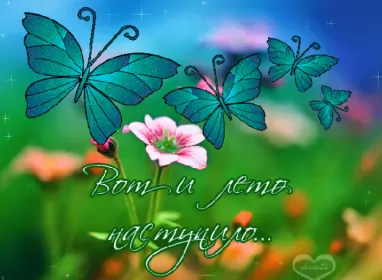 Открытки первый день лета Открытки первый день лета,первое июня  начало лета,с первым днём лета