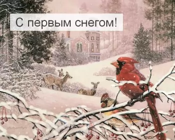 Открытки с первым снегом Открытки с первым снегом,первый снег,выпал первый снег,снежок