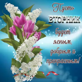 Вторник Пожелания на вторник