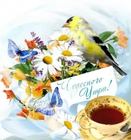 Доброе летнее утро Открытка с добрым летним утром,доброго летнего утра,летнее утро,птичка