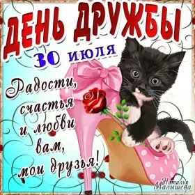 Открытки день дружбы Открытки день дружбы,с днём дружбы,картинки на день дружбы,котёнок в туфле