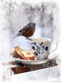 Открытки с добрым морозным утром Открытка с добрым утром,с добрым морозным зимним утром,морозное утро