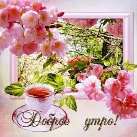 Доброе весеннее утро Открытка доброе весеннее утро,с добрым весенним утром,весеннее утро