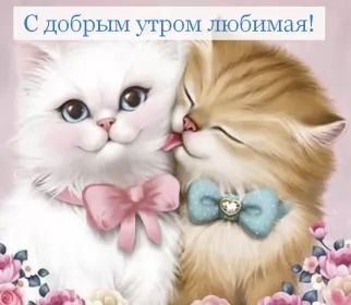 Доброе утро любимая Открытка доброе утро любимая,пожелания доброго утра любимой 