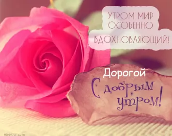 Доброе утро любимый Открытка доброе утро любимый,любовь моя,дорогой,любимый мой 