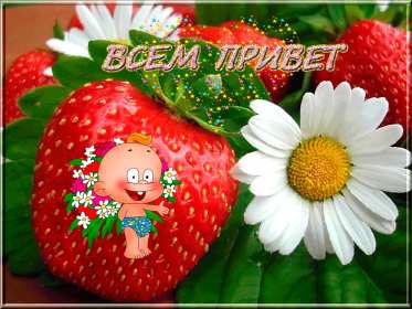 Открытка картинка привет,приветствие,передать привет,приветик Открытки картинки с приветствием,передать привет ,приветик,привет,открытка яркая привет,картинка красивая привет,приветик,передаю привет открытки скачать бесплатно