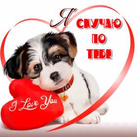 Открытка с надписью скучаю,красивая открытка скучаю,очень скучаю,щенок,сердце Открытка открытки скучаю ,очень скучаю,яркие ,красивые картинки картинка скучаю,я скучаю открытка,скучаю,сильно скучаю открытка ,картинка скачать бесплатно .