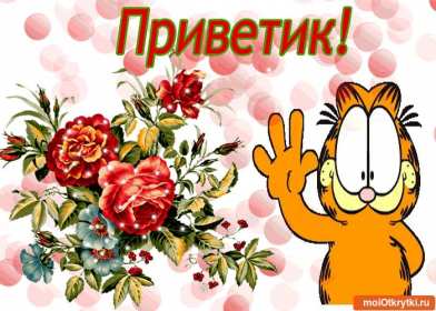 Открытки картинки привет,приветствие,красивые открытки привет Картинка открытка привет,передаю привет,открытки картинки приветствие,привет,яркие открытки передаю привет,приветик,приветствие,картинка привет скачать бесплатно