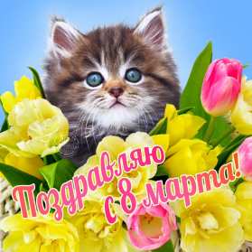 Открытка картинка с праздником 8 марта,поздравления с 8 марта Открытка открытки картинка картинки с 8 марта ,с международным женским днём 8 марта,красивая яркая открытка с праздником 8 марта ,на восьмое марта скачать бесплатно