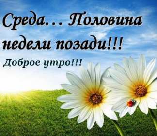 Открытка с пожеланиями доброго утра среды,с  добрым утром среда. Картинка,картинки с добрым утром среда,открытки открытка доброе утро среда,картинка,открытка красивая,яркая среда,доброе утро,дни недели,среда утро скачать бесплатно