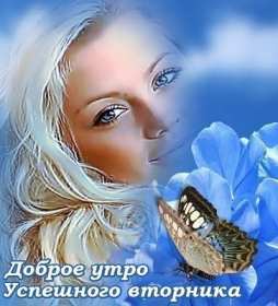 Открытка красивая доброе утро по дням недели, доброе утро вторника Картинка,открытка доброе утро вторника,открытки,открытка с добрым утром вторник,картинки,открытки вторник с добрым утром,яркие открытки с пожеланиями доброго утра вторника