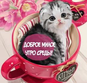 Открытка с пожеланиями доброго утра среды,с  добрым утром среда. Картинка,картинки с добрым утром среда,открытки открытка доброе утро среда,картинка,открытка красивая,яркая среда,доброе утро,дни недели,среда утро скачать бесплатно