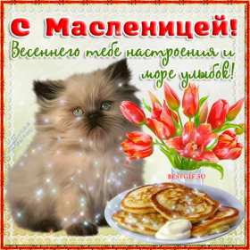 Открытки картинки гиф,мерцающие с масленицей,масленица,на масленицу,котик Открытки картинки гиф,открытка картинка гиф,анимированная с праздником народно хрестианским масленица,с масленицей открытка картинка мерцающая масленица скачать
