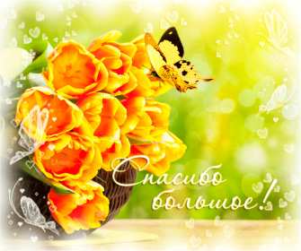 Открытка гиф,мерцающая спасибо,открытка гиф с надписью спасибо,жёлтые тюльпаны Открытки открытка гиф,анимационная с надписью спасибо,мерцающая открытка спасибо,большое спасибо,спасибо тебе огромное,открытки картинки гиф спасибо,благодарю .