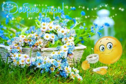 Открытка с добрым летним утром,доброго летнего утра,летнее утро Открытки картинки с добрым утром лета,доброе летнее утро,открытки открытка с пожеланиями доброго летнего утра,летнее доброе утро,доброе утро лета скачать бесплатно