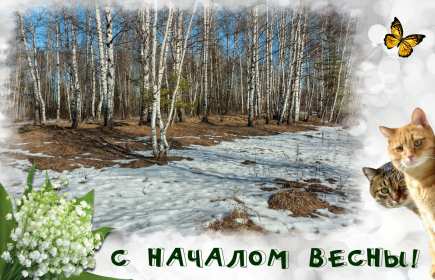 Открытки первый день весны ,с первым весенним днём ,1 марта,коты Открытки открытка с первым весенним днём ,первый день весны,первое марта,картинки картинка с началом весны,с весной,открытка картинка первый день весны 1 марта скачать