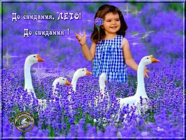 Открытка последний день лета,с последним днём уходящего лета Открытка картинка открытки картинки с последним днём лета,последний день лета,открытка картинка последний день лета,прощай лето,до свидания лето,конец лета открытки