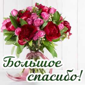 Открытки спасибо,благодарю,красивая открытка с надписью спасибо,букет Открытка,открытки с надписью спасибо,большое тебе спасибо картинки открытки,яркие открытки спасибо,слова благодарности,открытки картинки спасибо,спасибки скачать